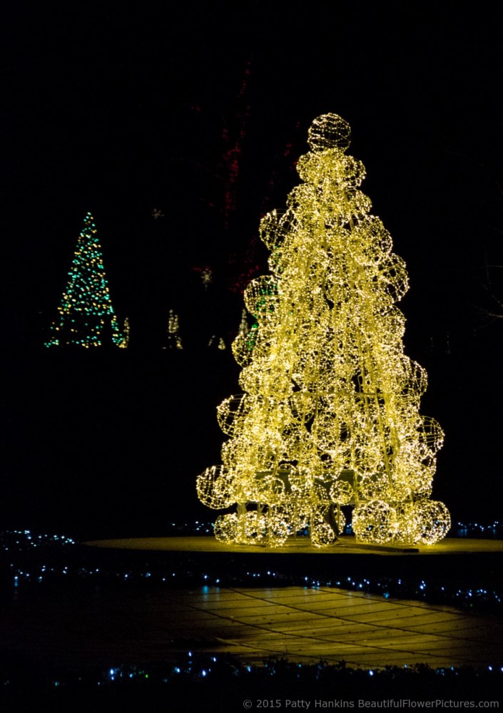 Outdoor Lights, Christmas at Longwood Gardens © 2015 Patty Hankins