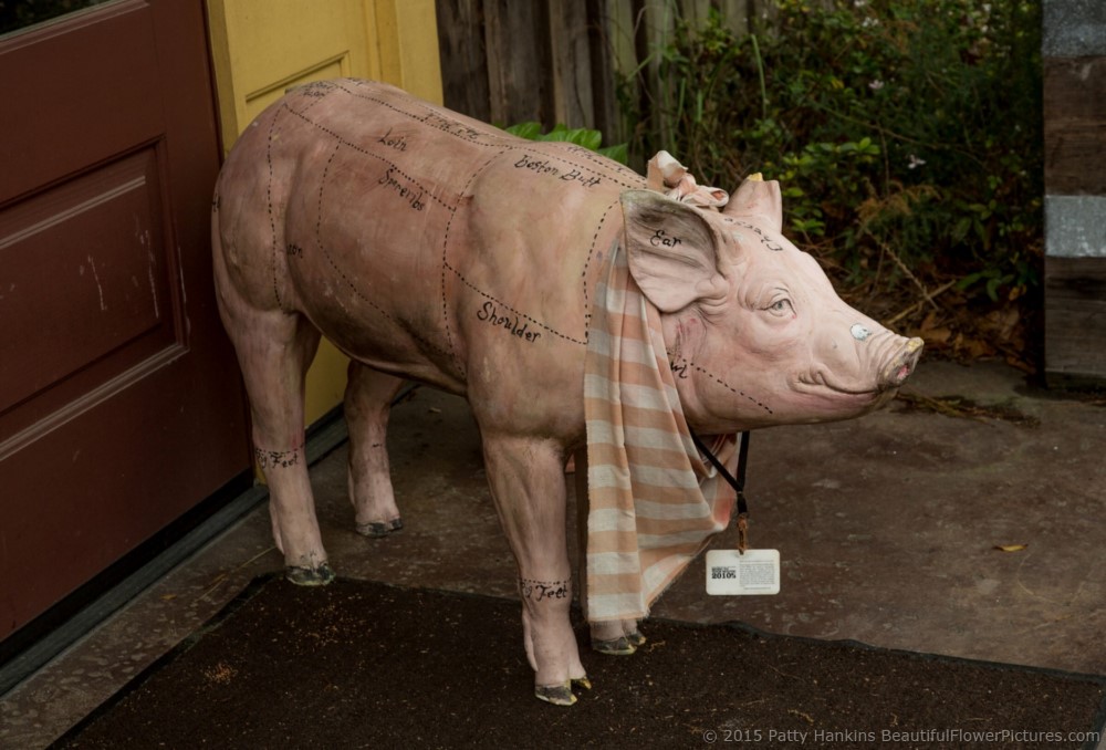 Pig at Bluffton BBQ, Bluffton, SC © 2015 Patty Hankins