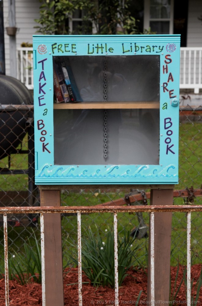 Little Free Library, Bluffton, SC © 2015 Patty Hankins