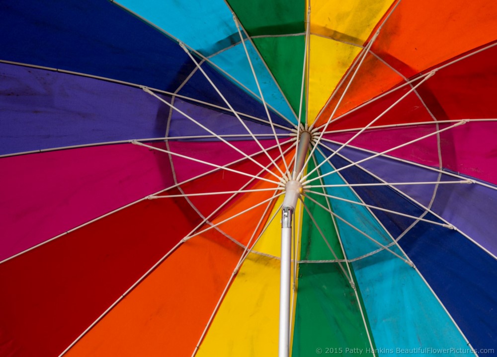 Colorful Umbrella, Bluffton, SC © 2015 Patty Hankins