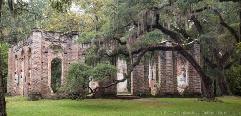 Sheldon Church Ruins, Yemansee, South Carolina © 2015 Patty Hankins