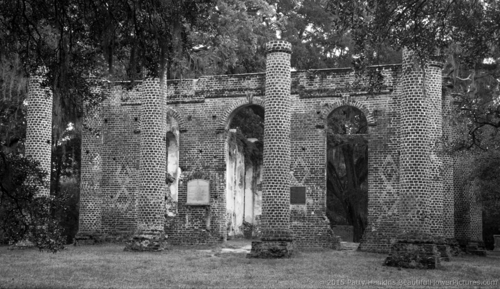 Sheldon Church Ruins, Yemansee, South Carolina © 2015 Patty Hankins