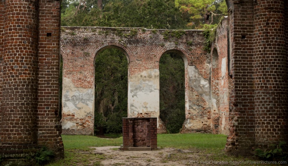 Sheldon Church Ruins, Yemansee, South Carolina © 2015 Patty Hankins