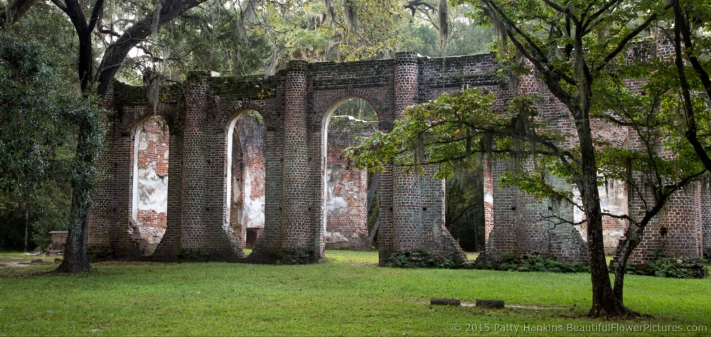 Sheldon Church Ruins, Yemansee, South Carolina © 2015 Patty Hankins