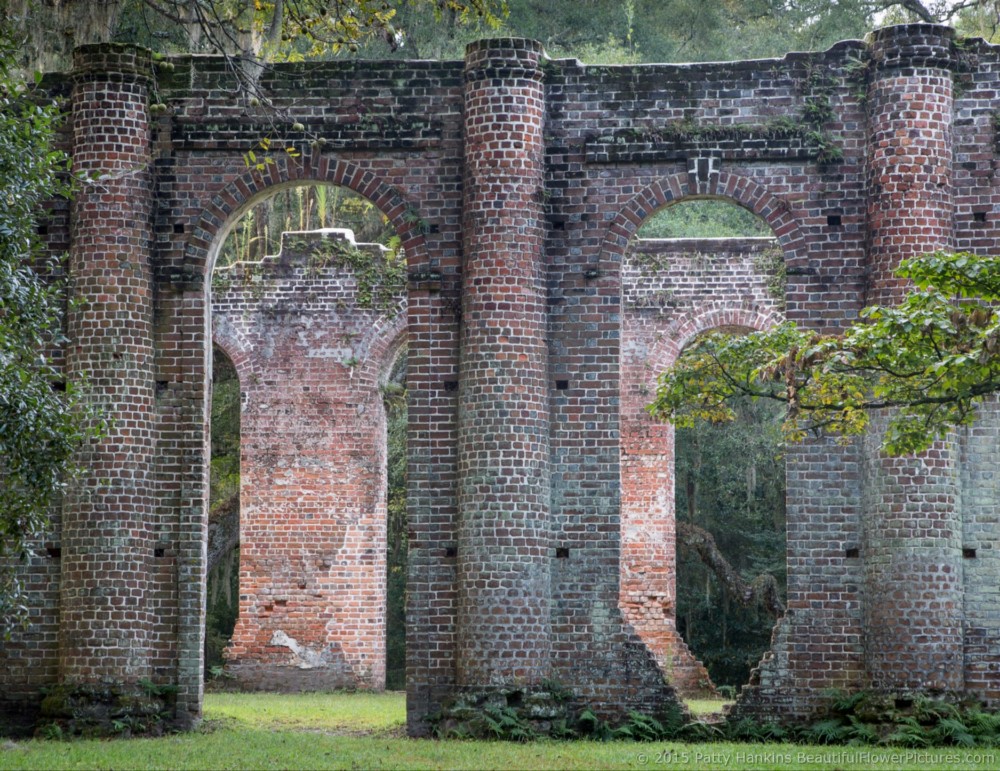 Sheldon Church Ruins, Yemansee, South Carolina © 2015 Patty Hankins