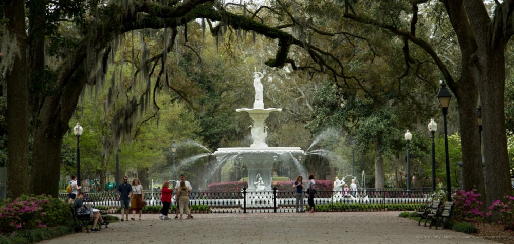 Fountain at Savannah's Forsythe Park © 2016 Patty Hankins