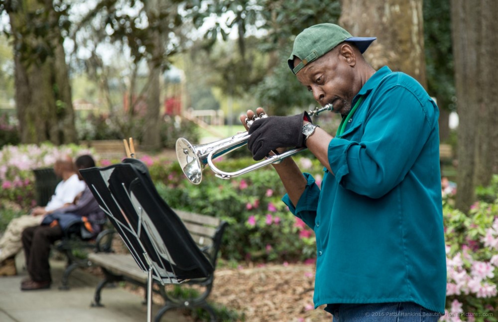 Musician at Forsythe Park in Savannah © 2016 Patty Hankins