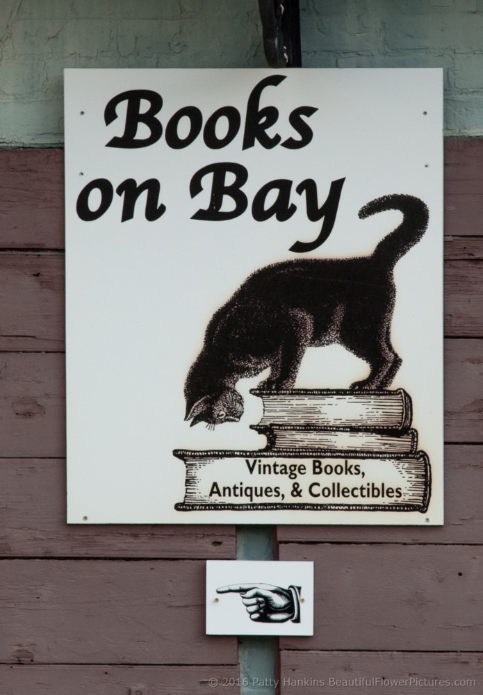 Books on the Bay sign, Savannah © 2016 Patty Hankins