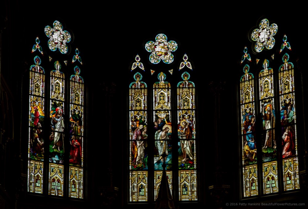 Stained Glass, Cathedral of St John the Baptist, Savannah © 2016 Patty Hankins