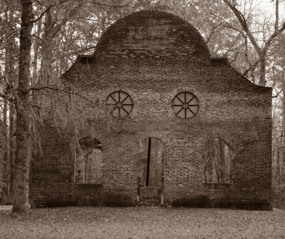 Pon Pon Chapel of Ease, Adams Run, SC © 2016 Patty Hankins