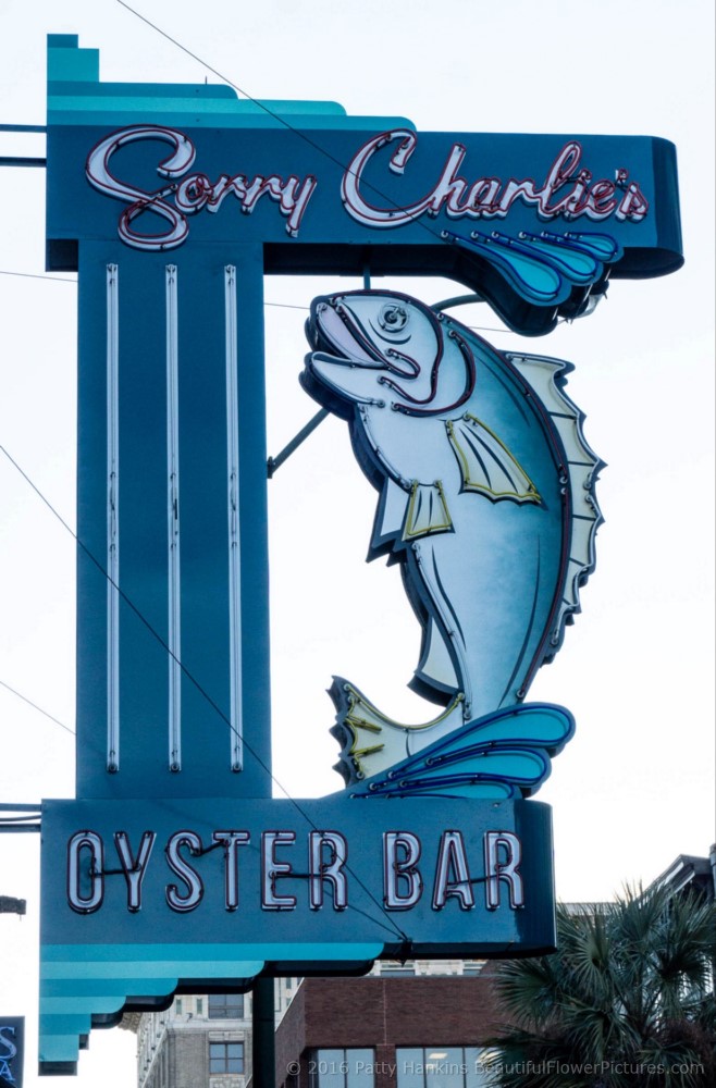 Sorry Charlie Oyster Bar, Savannah, Georgia © 2016 Patty Hankins