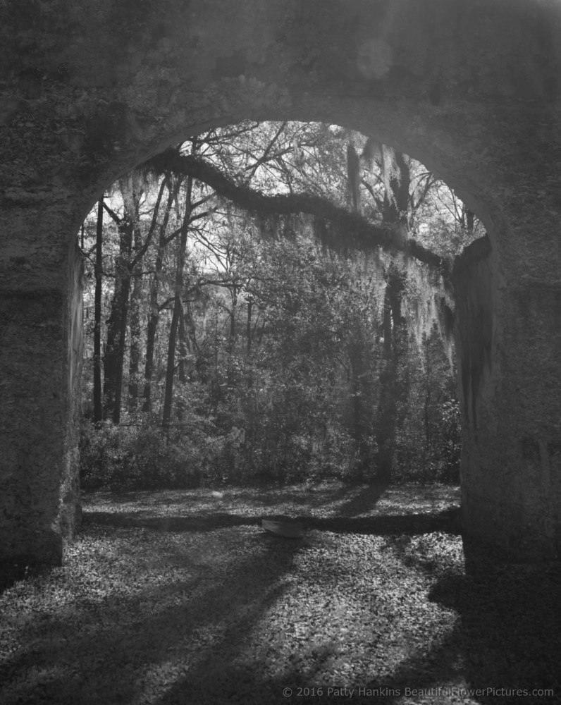 Chapel of Ease, St Helena Island, SC © 2016 Patty Hankins