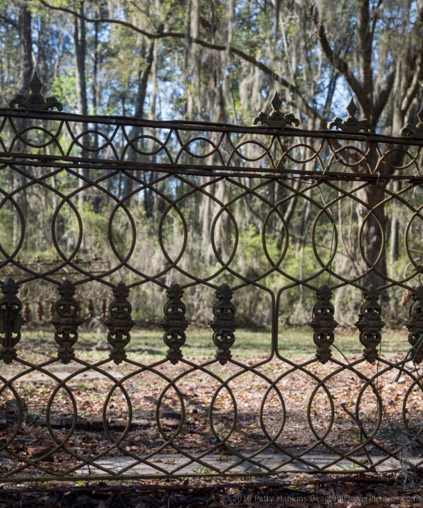 Chapel of Ease, St Helena Island, SC © 2016 Patty Hankins