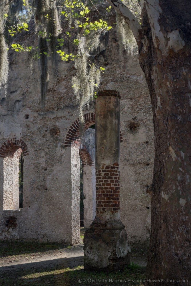 Chapel of Ease, St Helena Island, SC © 2016 Patty Hankins