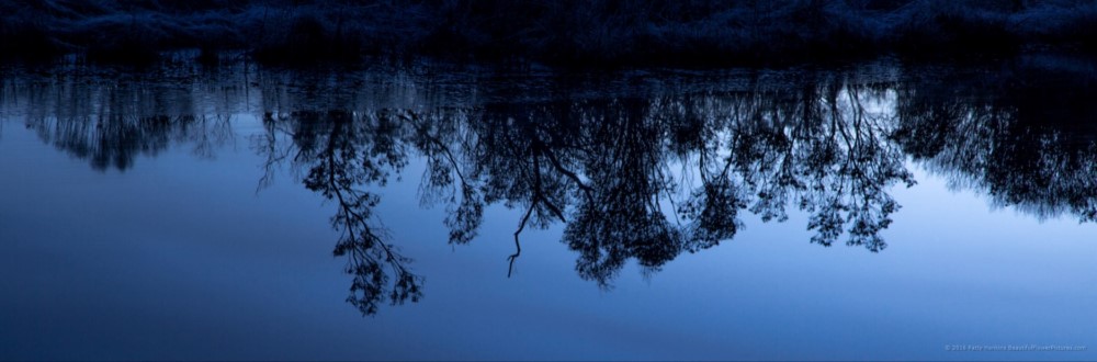 Chincoteague Reflections © 2016 Patty Hankins