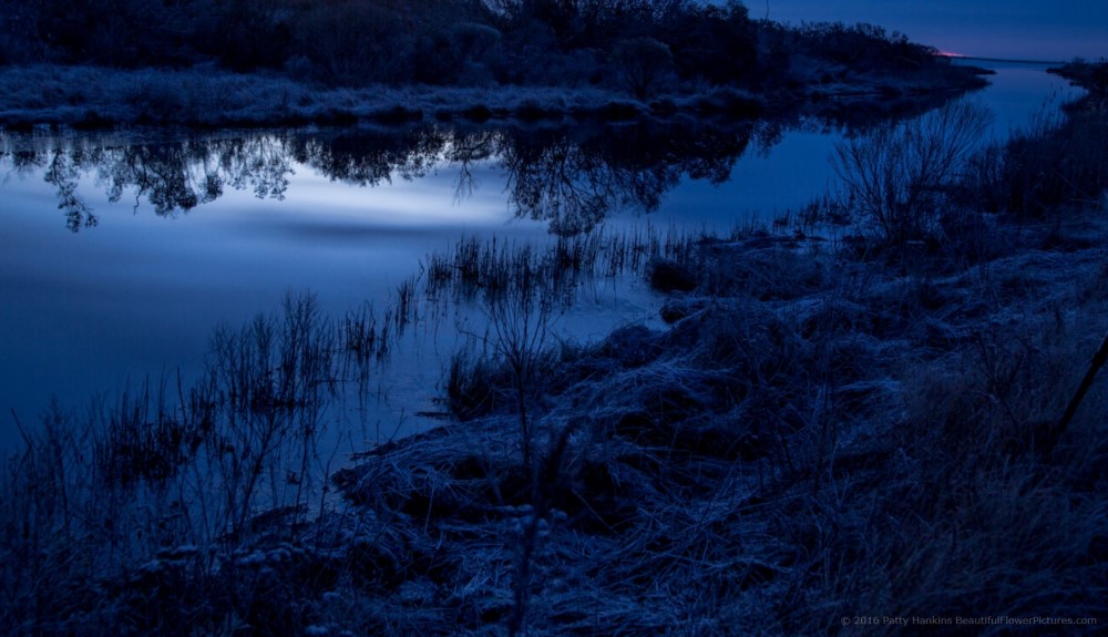 Chincoteague Reflections © 2016 Patty Hankins