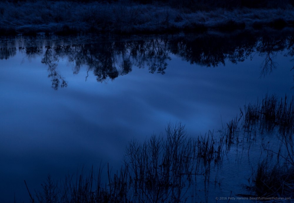 Chincoteague Reflections © 2016 Patty Hankins