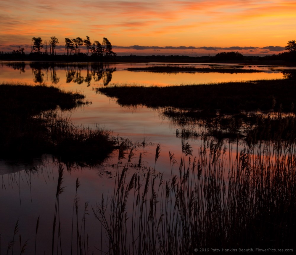 Chincoteague Reflections © 2016 Patty Hankins