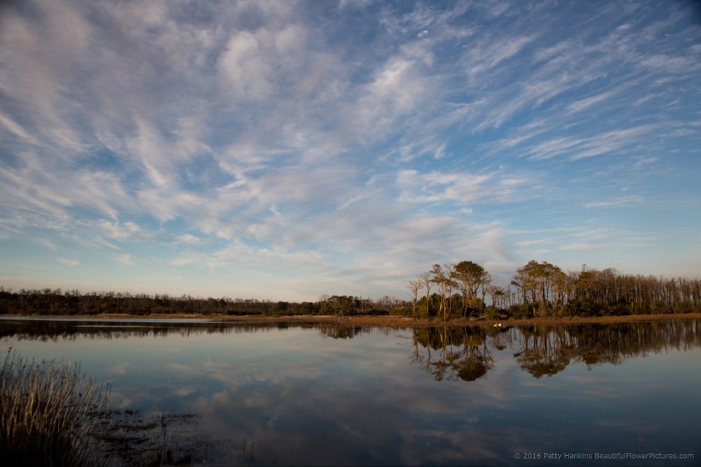 Chincoteague Reflections © 2016 Patty Hankins