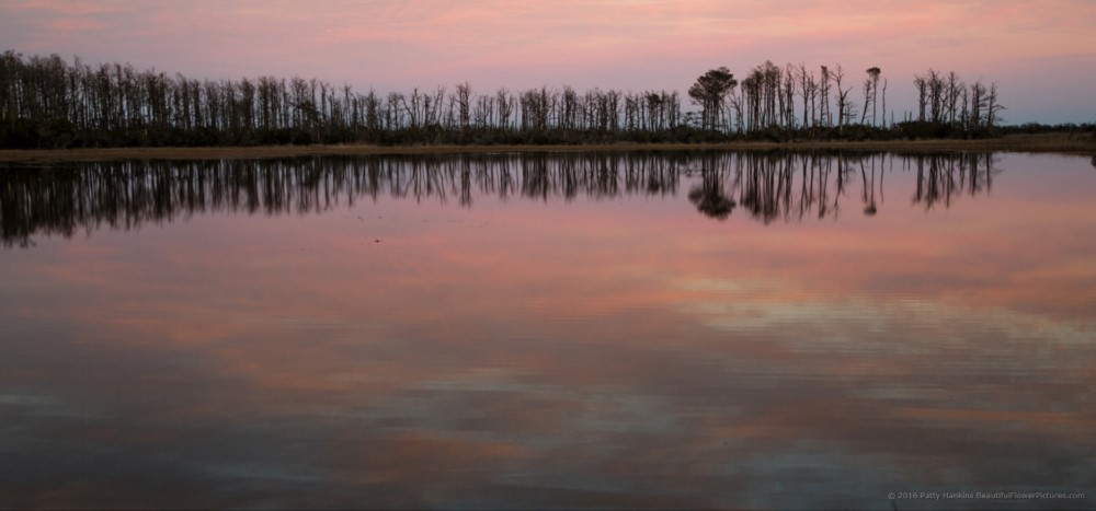 Chincoteague Reflections © 2016 Patty Hankins