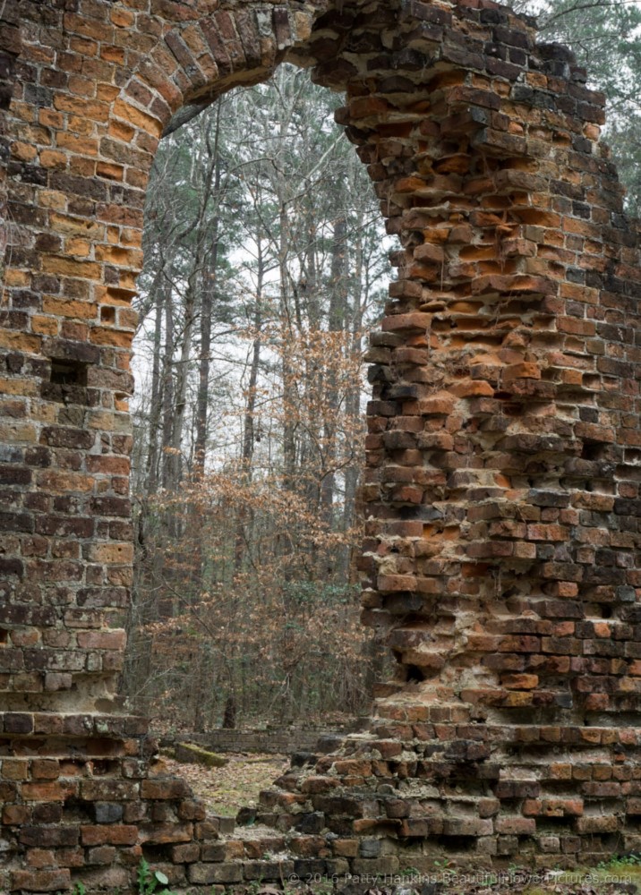 Pon Pon Chapel of Ease, Adams Run, SC © 2016 Patty Hankins