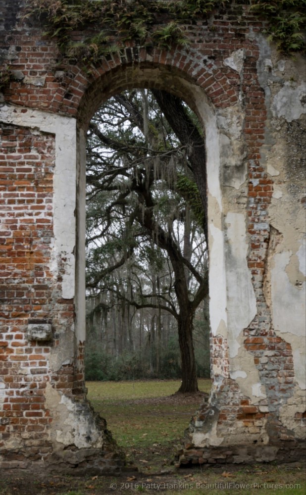 Sheldon Church Ruins, Yemansee, SC © 2016 Patty Hankins