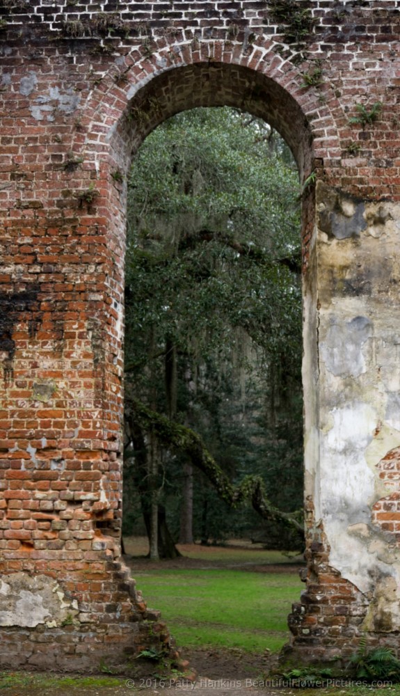 Sheldon Church Ruins, Yemansee, SC © 2016 Patty Hankins