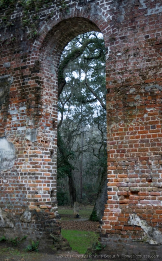 Sheldon Church Ruins, Yemansee, SC © 2016 Patty Hankins