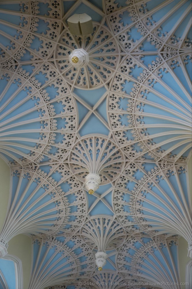 Ceiling in the Unitarian Church in Charleston, SC © 2016 Patty Hankins