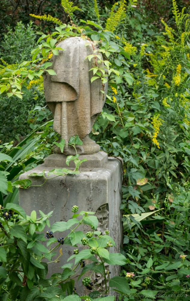 Cemetery of the Unitarian Church, Charleston, SC © 2016 Patty Hankins