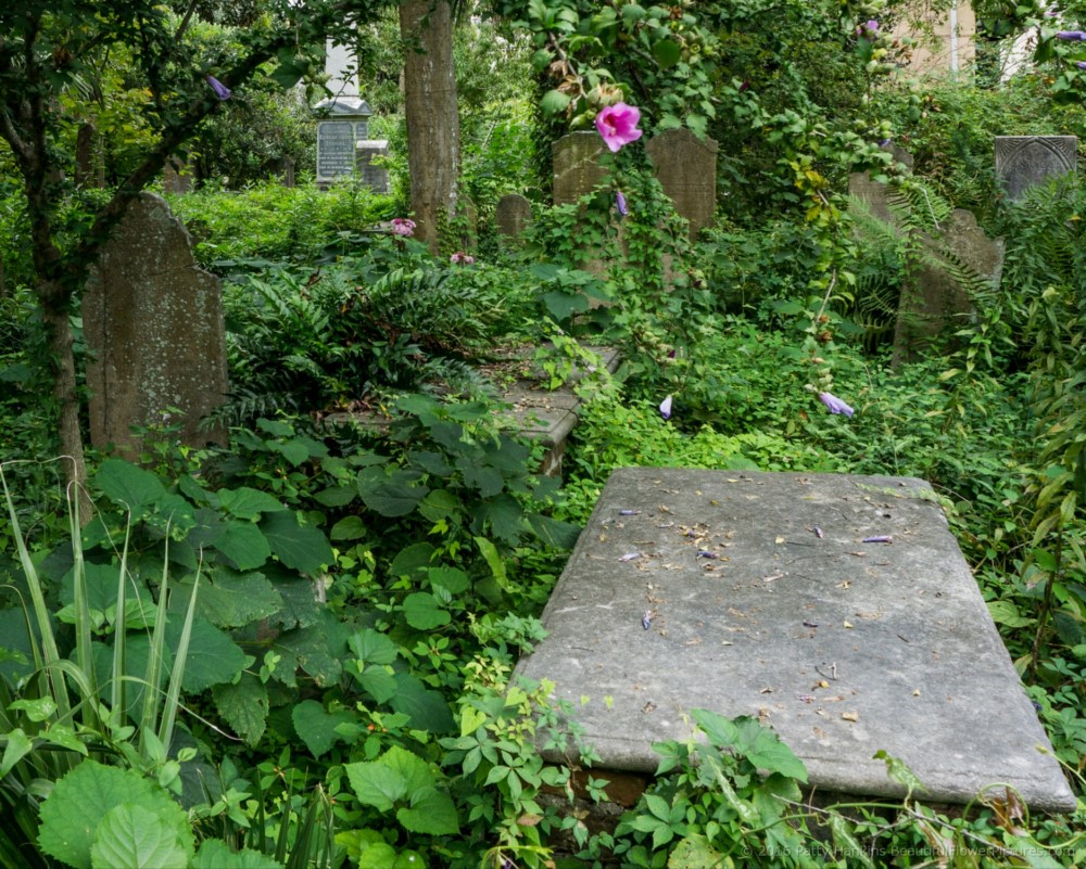 Cemetery of the Unitarian Church, Charleston, SC © 2016 Patty Hankins