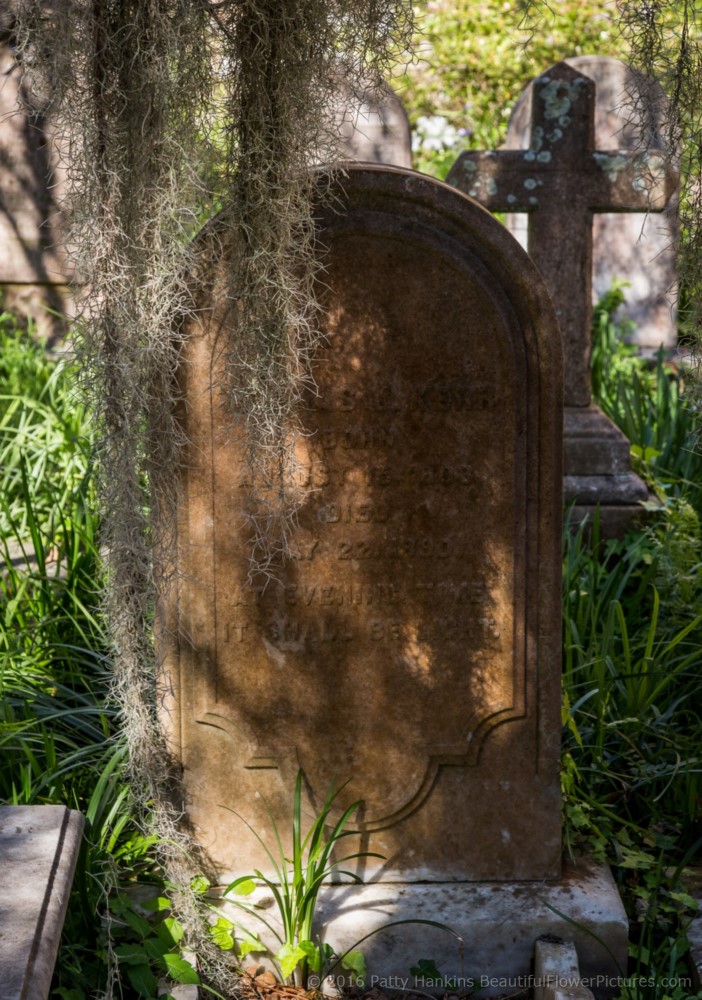 Cemetery of the Unitarian Church, Charleston, SC © 2016 Patty Hankins