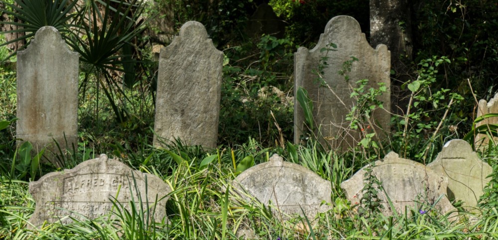 Cemetery of the Unitarian Church, Charleston, SC © 2016 Patty Hankins