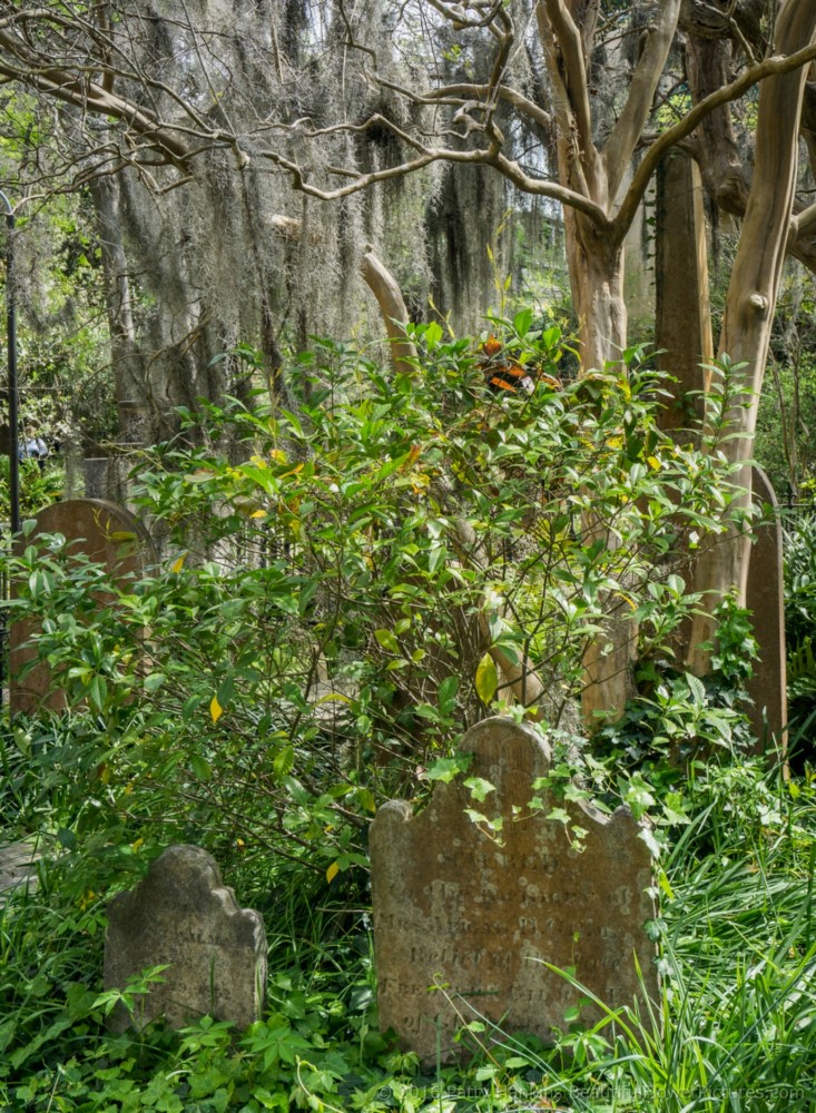 Cemetery of the Unitarian Church, Charleston, SC © 2016 Patty Hankins