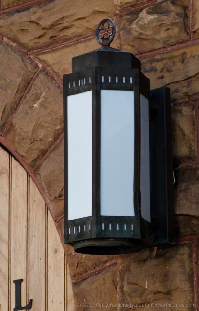 Light outside Gage Hall, Unitarian Church, Charleston, SC ©2016 Patty Hankins