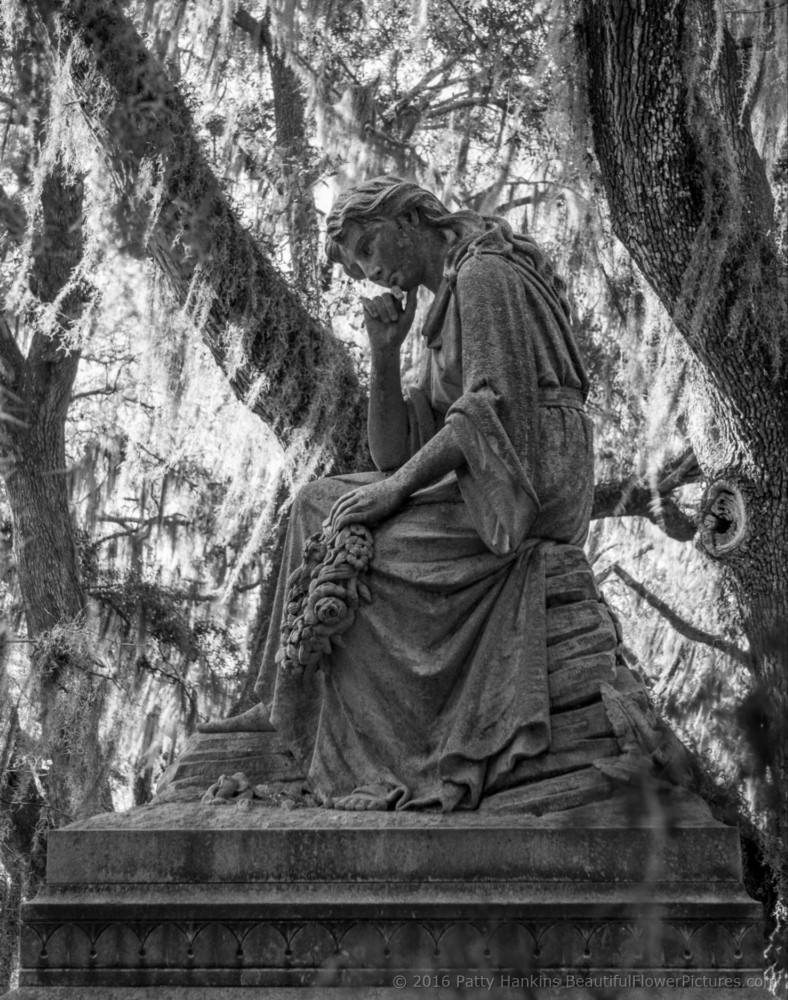 Bonaventure Cemetery, Savannah, Georgia © 2016 Patty Hankins