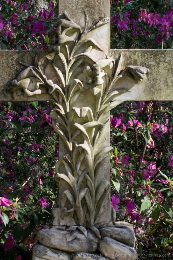 Bonaventure Cemetery, Savannah, Georgia © 2016 Patty Hankins