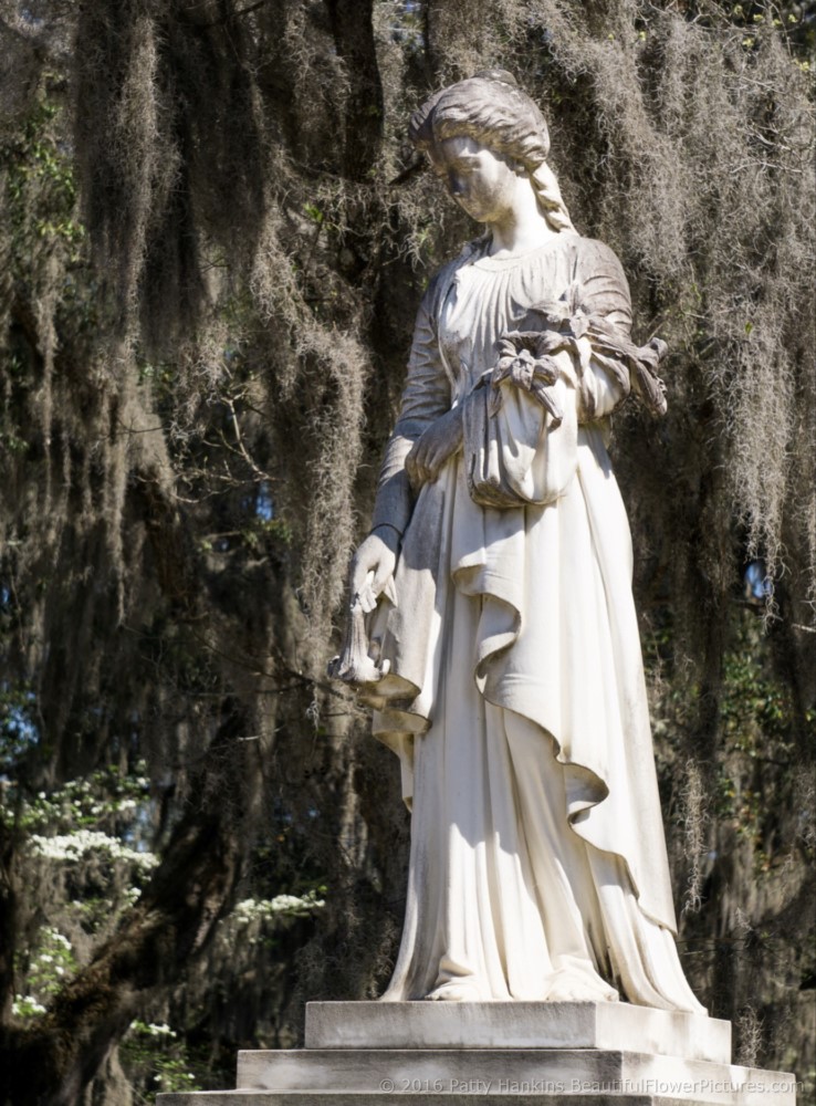 Bonaventure Cemetery, Savannah, Georgia © 2016 Patty Hankins