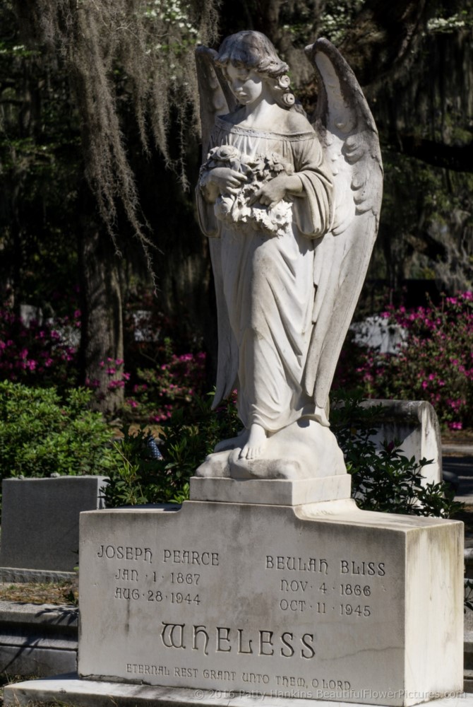 Bonaventure Cemetery, Savannah, Georgia © 2016 Patty Hankins