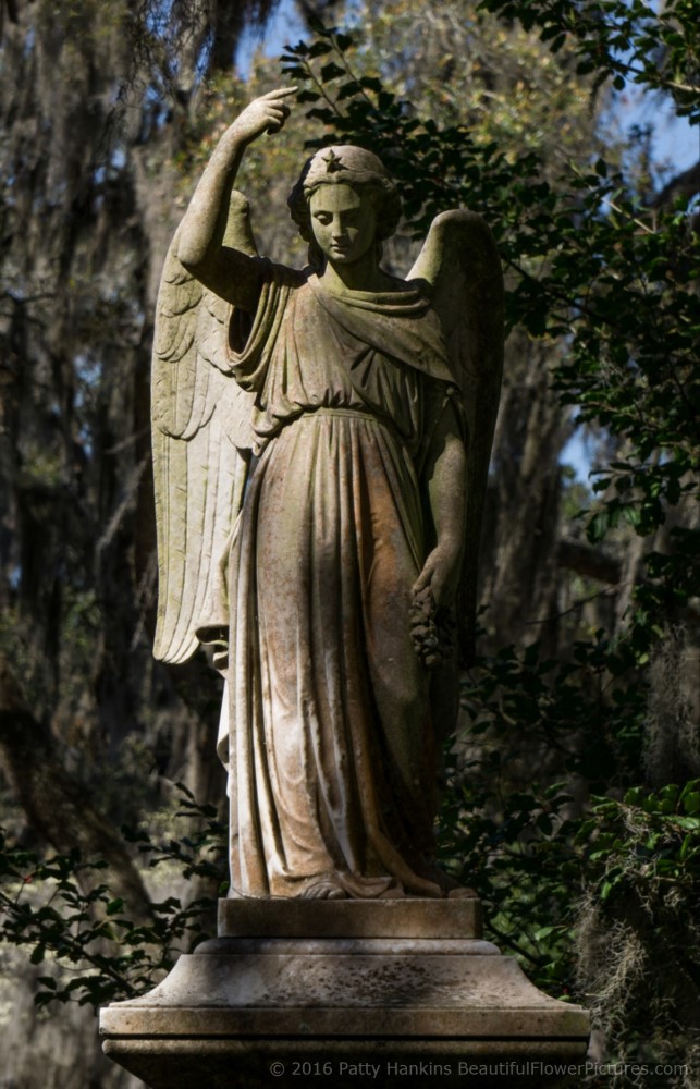 Bonaventure Cemetery, Savannah, Georgia © 2016 Patty Hankins