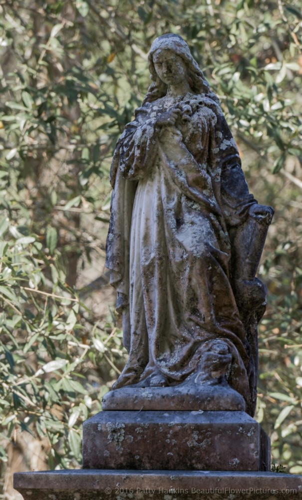 Bonaventure Cemetery, Savannah, Georgia © 2016 Patty Hankins