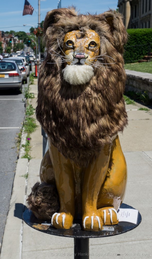 Cat’n Around Catskill Cat © 2016 Patty Hankins