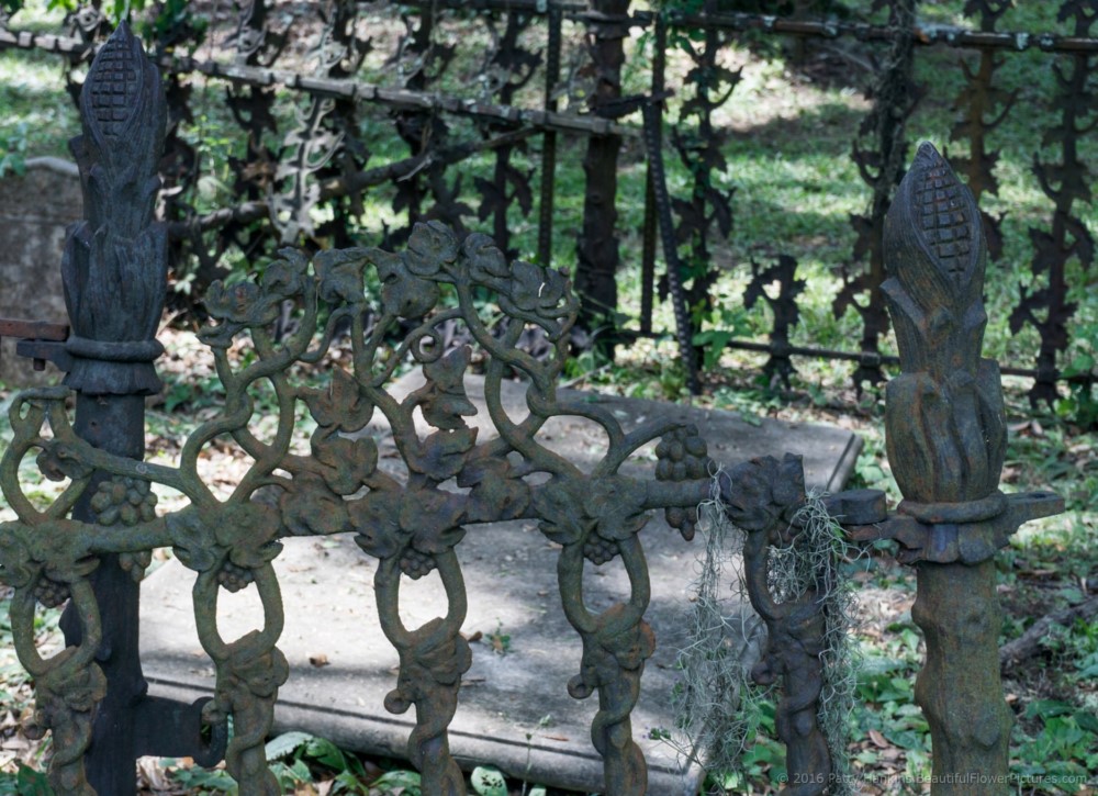 Cemetery at Trinity Episcopal Church, Edisto Island, SC © 2016 Patty Hankins