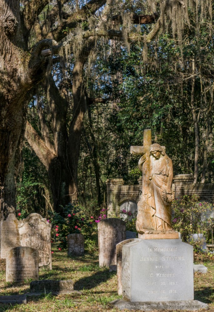 Cemetery at Trinity Episcopal Church, Edisto Island, SC © 2016 Patty Hankins