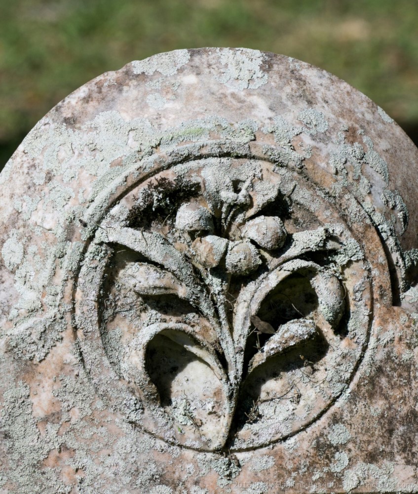 Cemetery at Trinity Episcopal Church, Edisto Island, SC © 2016 Patty Hankins