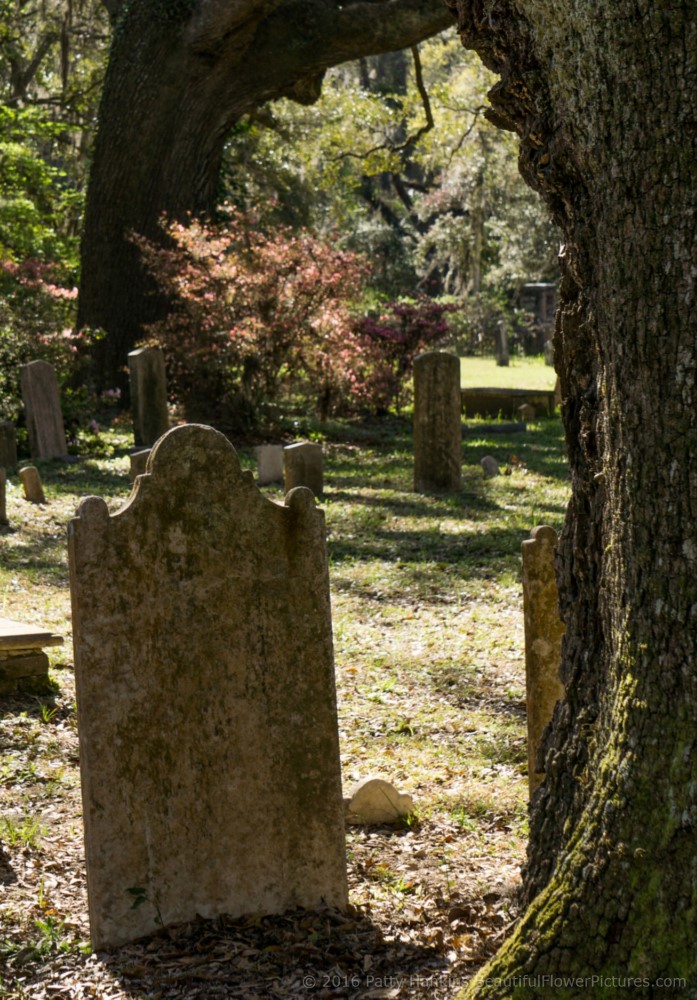 Cemetery at Trinity Episcopal Church, Edisto Island, SC © 2016 Patty Hankins