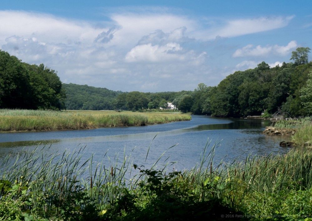 View of the River from Griswold Museum © 2016 Patty Hankins