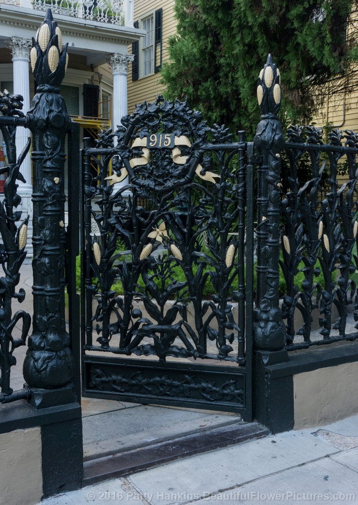 Cornstalk Fence, French Quarter, New Orleans © 2016 Patty Hankins