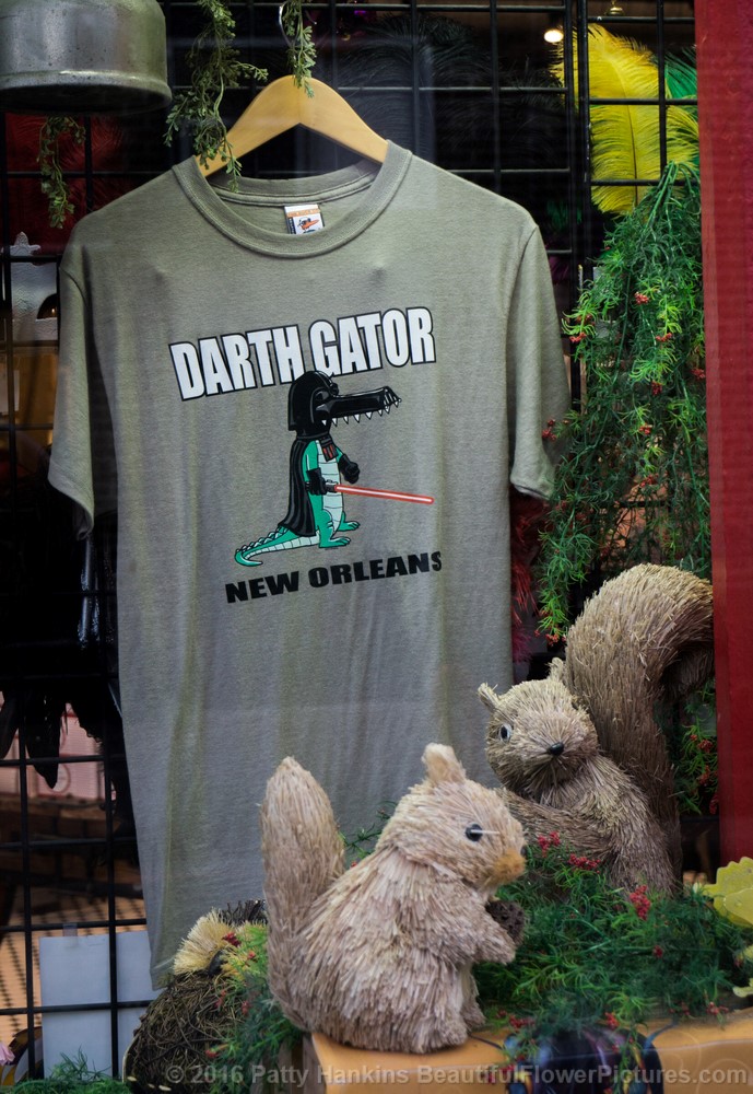 Darth Gator, French Quarter, New Orleans © 2016 Patty Hankins