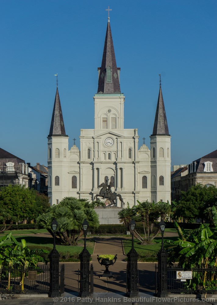 Jackson Square, New Orleans © 2016 Patty Hankins